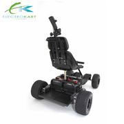 Electrokart-Voyager-Standard-Rear-Angle